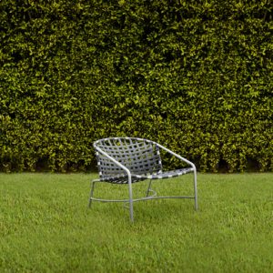 chair on backyard lawn